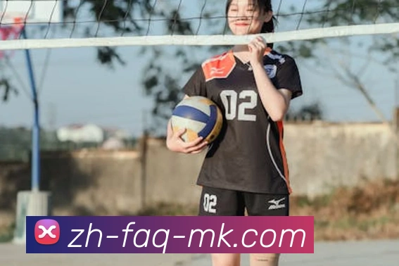 MK体育平台生态图